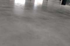 WhatsApp-Image-2022-02-04-at-7.43.31-PM